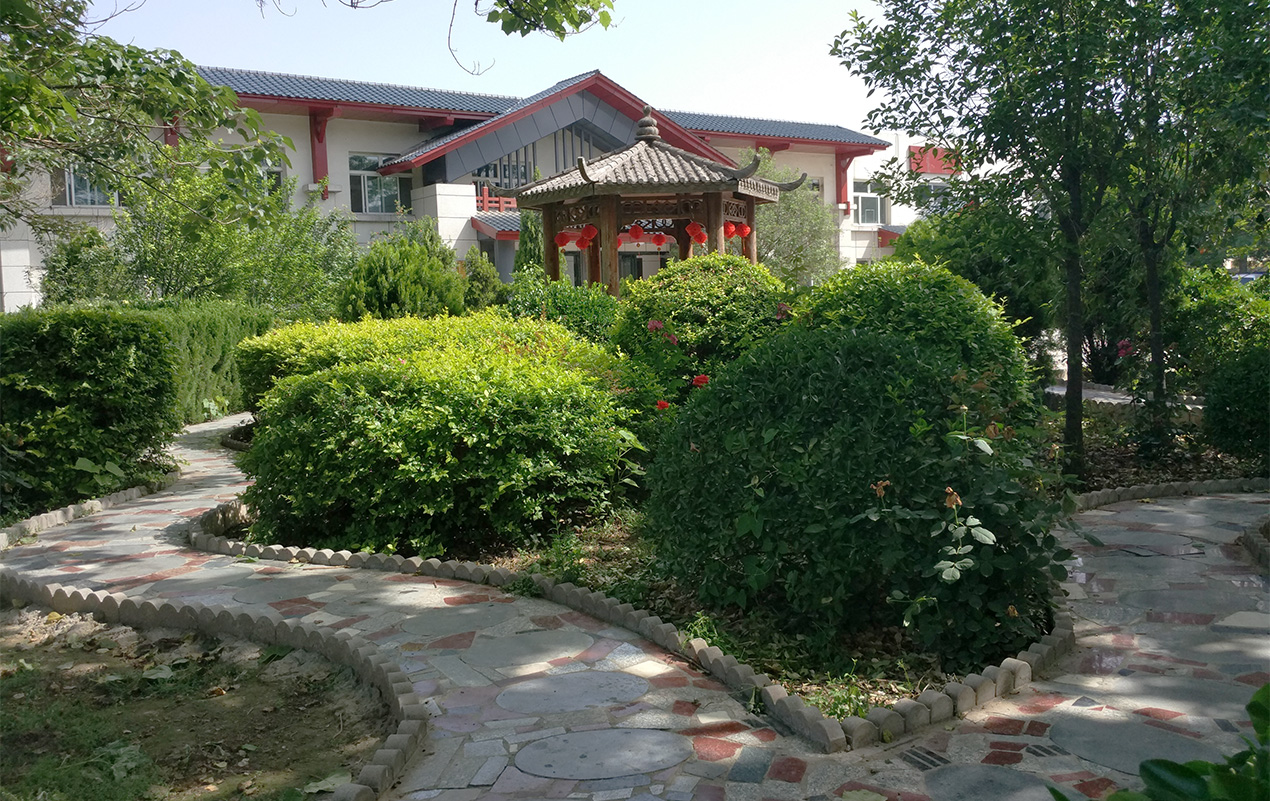 花園式的醫院