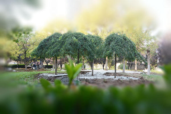 小公園破土動工