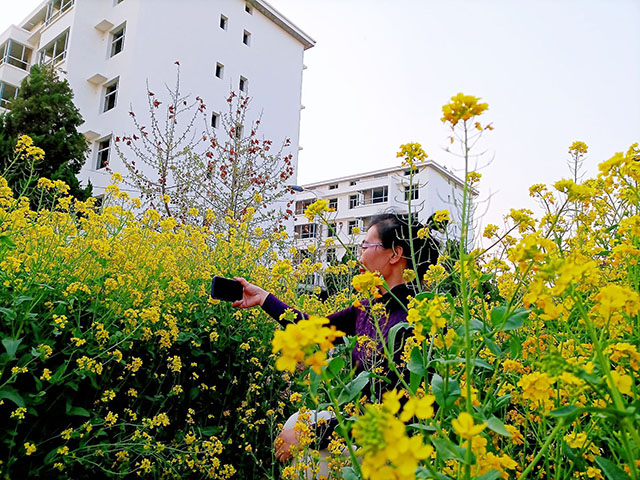 梁曉芳 《花間麗人》.jpg