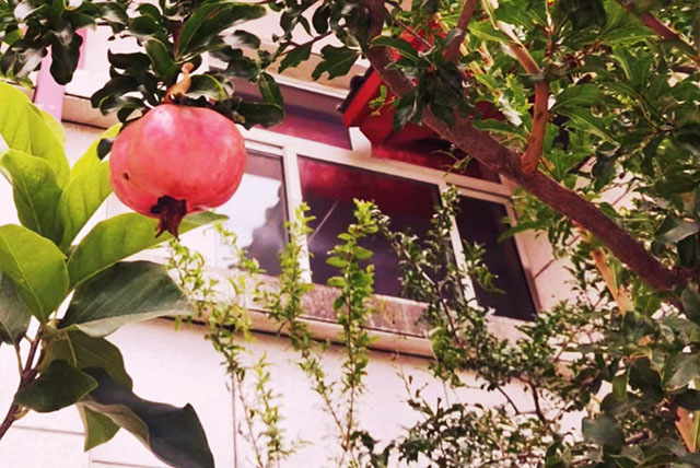 季雪風(fēng) 《紅燈籠》.jpg