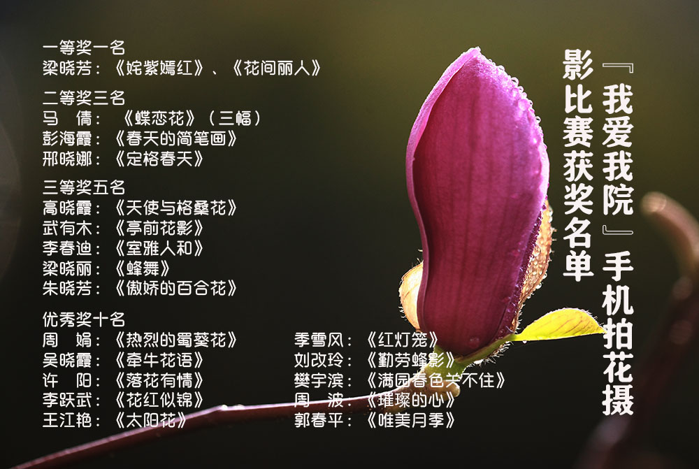 “我愛我院”手機拍花攝影比賽獲獎名單及作品